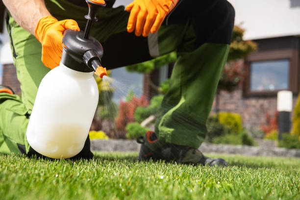 Best Residential Pest Control  in Mill Bay, AK