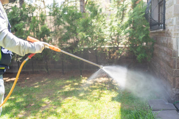 Best Wasp Removal Services  in Mill Bay, AK